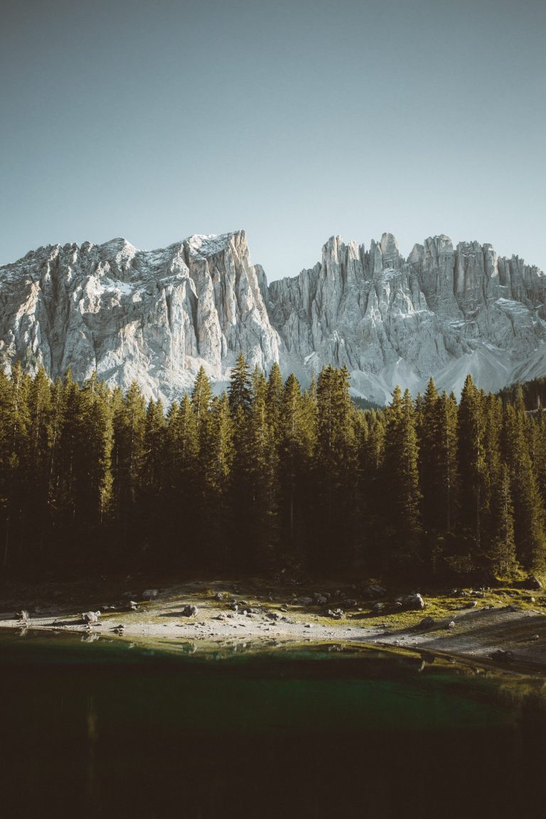 chris-henry-ofuctQNpnk4-unsplash-scaled.jpg